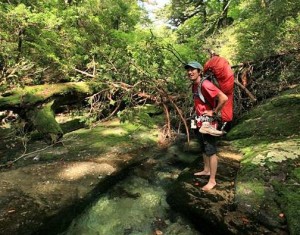 【お取次店情報】鹿児島が誇る世界自然遺産「屋久島」を自由に旅するガイド【GREEN　MOUNT】さんのご紹介です。